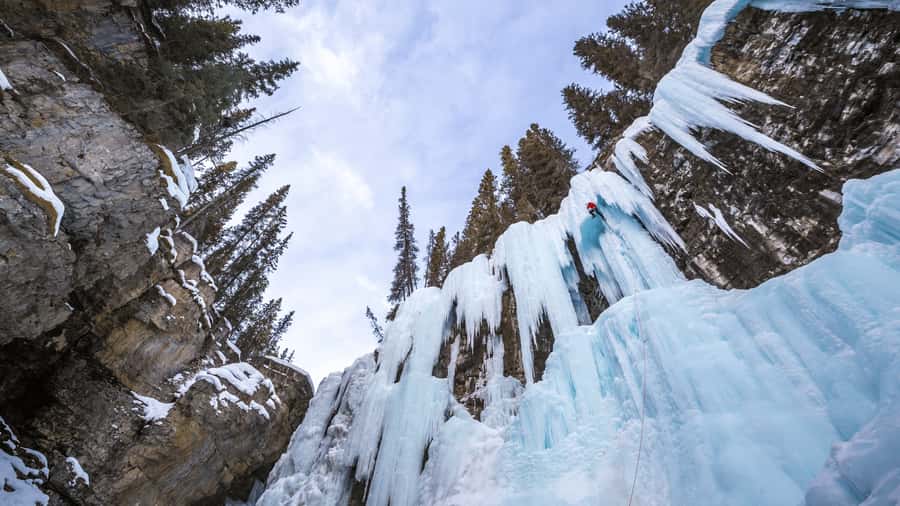Banff: Gondola Ticket and Johnston Canyon Hiking Tour - Hoodoos and Bow Falls: quick stops that hit hard