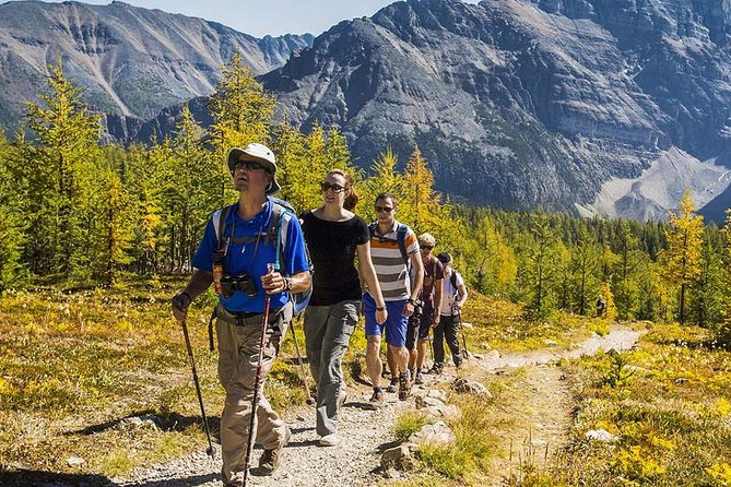 Banff National Park Guided Hike with Lunch - What You’re Really Signing Up For in Banff