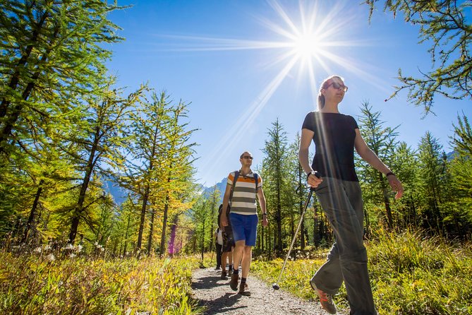 Banff National Park Guided Hike with Lunch - Strenuous or Not? How to Choose the Right Fit