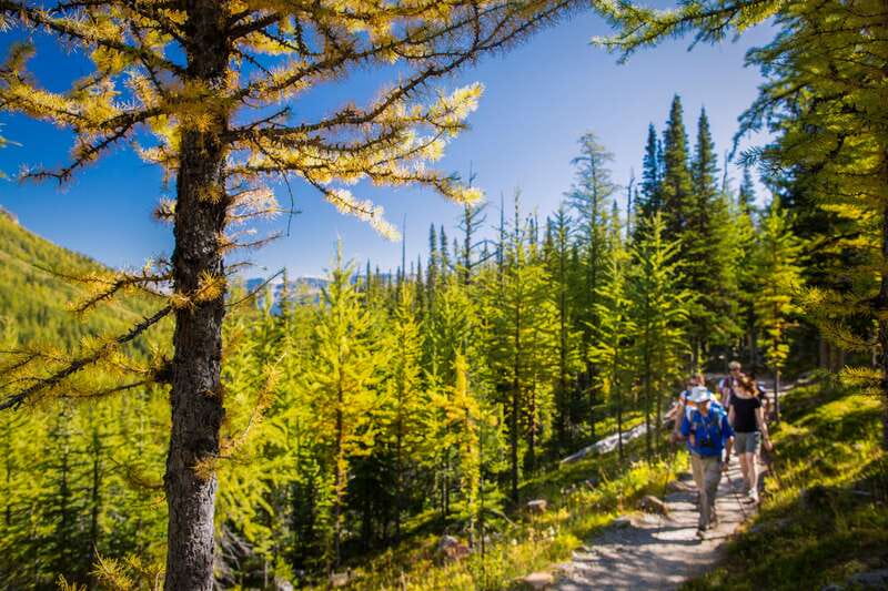 Banff National Park: Guided Signature Hikes with Lunch - A 7-hour Banff day that actually feels structured