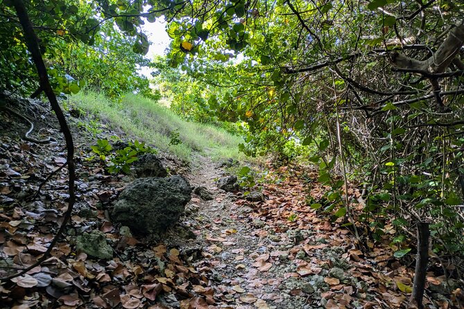 Barbados Hiking and Sightseeing Tour (Transport Included) - Entering Barbados’ South Coast by Electric Bike