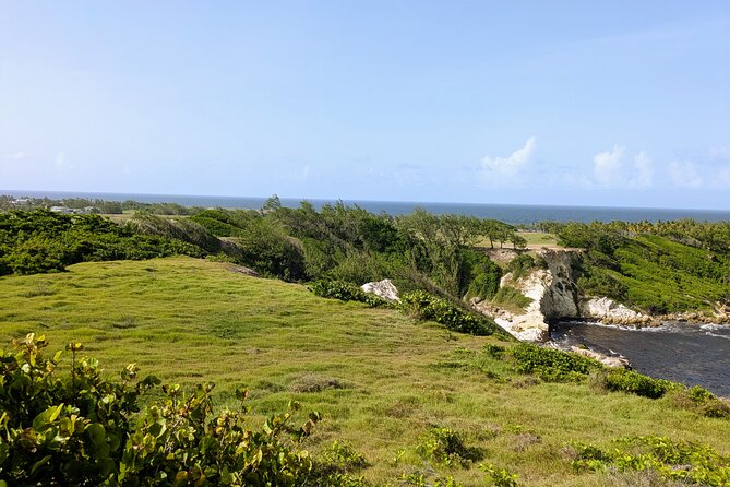 Barbados Hiking and Sightseeing Tour (Transport Included) - Wildlife, Views, and What You’ll Actually Notice