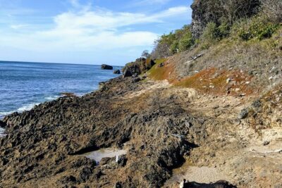 Barbados Hiking and Sightseeing Tour (Transport Included) - How the Small Group and Real-Time Guidance Changes Everything