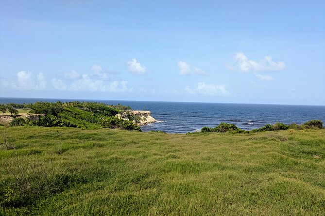 Barbados Hiking and Sightseeing Tour (Transport Included) - Price and Value: Is $140 Worth It?