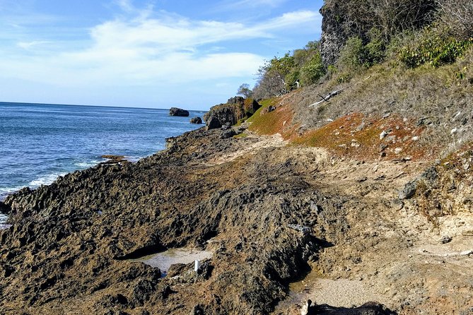 Barbados Hiking and Sightseeing Tour (Transport Included) - How the Small Group and Real-Time Guidance Changes Everything