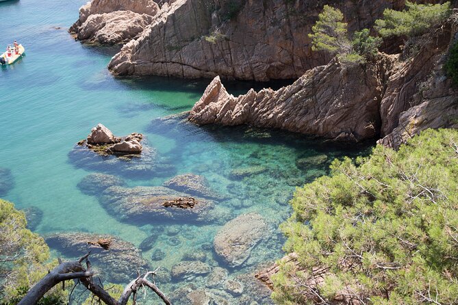 Barcelona: Costa Brava Easy Hike, Snorkel, Cliff-Jump & Meal - Walking the Camí de Ronda: coves, steps, and cliff-top views