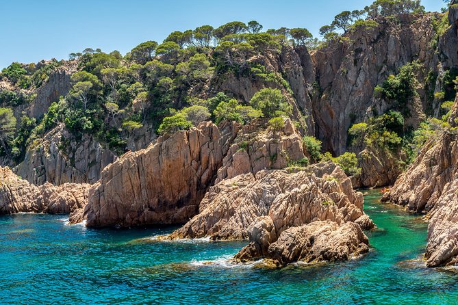 Barcelona: Costa Brava Easy Hike, Snorkel, Cliff-Jump & Meal - A family-friendly bay with traditional beach huts and real amenities