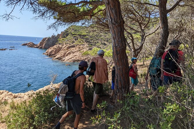 Barcelona: Costa Brava Easy Hike, Snorkel, Cliff-Jump & Meal - Snorkeling in protected coastal water: equipment included, fins not