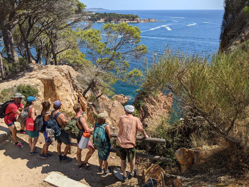 Barcelona: Costa Brava Easy Hike, Snorkel, Cliff-Jump & Meal - Price and value: what $100 buys you in real terms