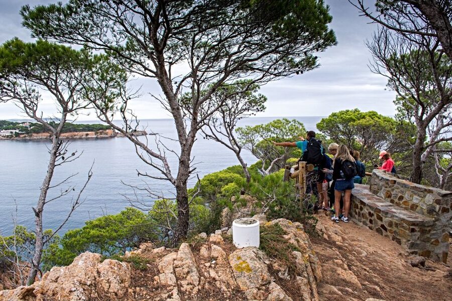 Barcelona: Costa Brava Hiking, Sea Kayaking & Lagoon Dipping - Why Costa Brava Feels Worlds Away From Barcelona