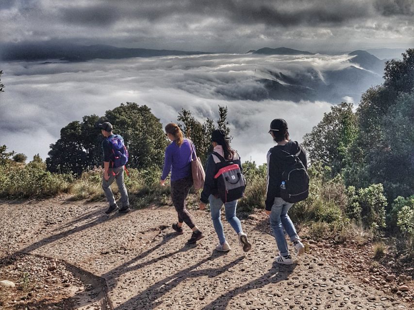 Barcelona: Montserrat Hiking Experience and Monastery Visit - The farmer’s market tastings: snacks that feel like a payoff
