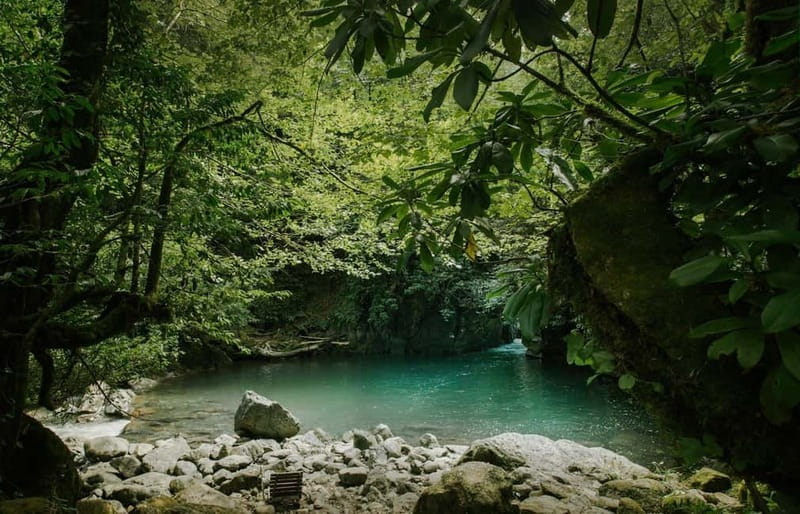 Batumi to Mtirala National park - Half day hiking group tour - How the van schedule and guide pace make the tour work