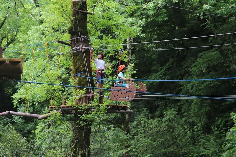 Batumi to Mtirala National park - Half day hiking group tour - Should you book the Batumi to Mtirala half-day hike?