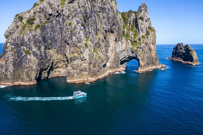 Bay of Islands Cruise & Island Tour - Snorkel, Hike,Swim,Wildlife - Key highlights worth targeting