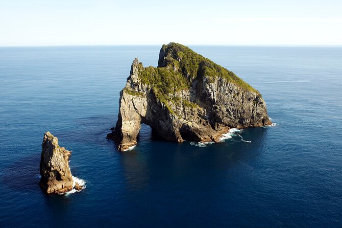 Bay of Islands Cruise & Island Tour - Snorkel, Hike,Swim,Wildlife - Price and logistics: what you’re really paying for