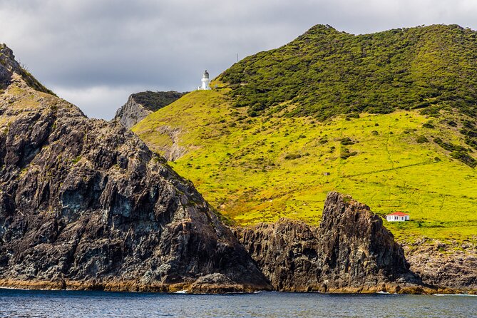 Bay of Islands Cruise & Island Tour - Snorkel, Hike,Swim,Wildlife - Snorkeling and swimming at Waewaetorea, Moturua, or Urupukapuka