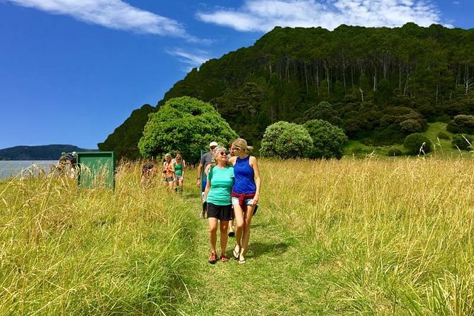 Bay of Islands Cruise & Island Tour - Snorkel, Hike,Swim,Wildlife - Wildlife spotting and Māori culture commentary: more than window dressing