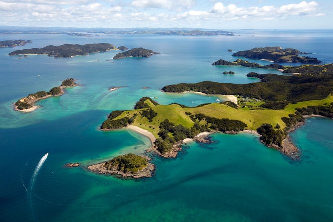 Bay of Islands Cruise & Island Tour - Snorkel, Hike,Swim,Wildlife - Is $104.88 good value for the Bay of Islands?