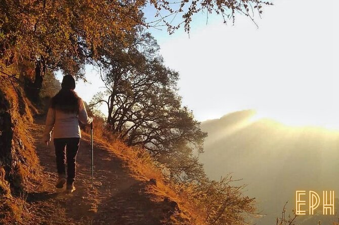 Benog Tibba Day Hike - Mussoorie - Benog Tibba Day Hike: why this forest route works