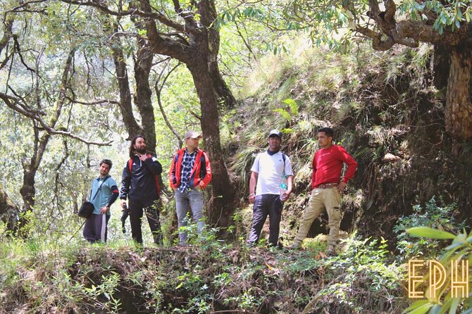 Benog Tibba Day Hike - Mussoorie - Price and value: $33.56 plus any Benog admission for foreigners