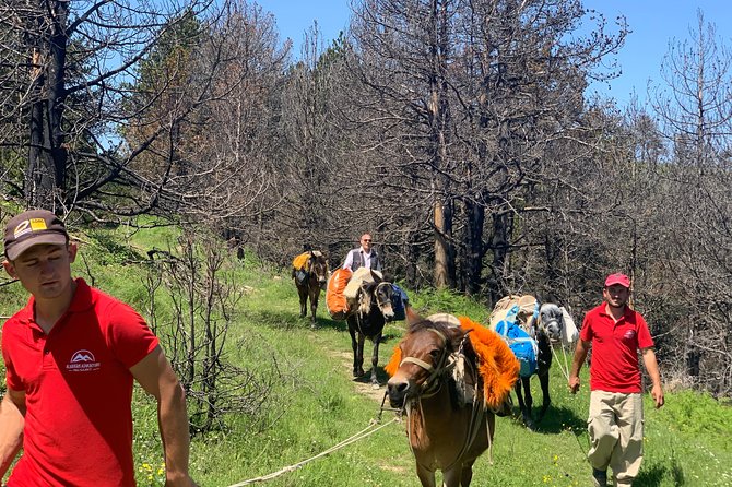 Berat Hiking Off Road picnic lunch in Tomori Holy Mount - Meeting the Shepherds and Mounting the Mules