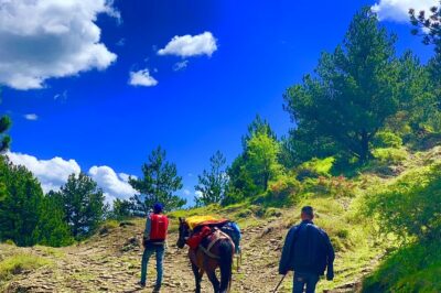 Berat Hiking Off Road picnic lunch in Tomori Holy Mount - Visiting a Local Family in Qafe Dardhe