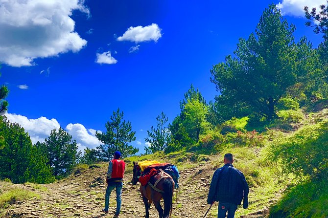 Berat Hiking Off Road picnic lunch in Tomori Holy Mount - Visiting a Local Family in Qafe Dardhe