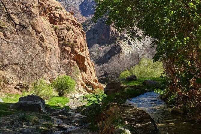 Berber villages : Atlas Mountains Day Hike from Marrakech - Aroumd: lunch in a Berber home and the mint-tea rhythm