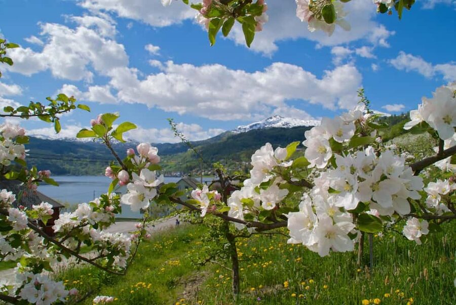 Bergen: Easy Hike to Bondhus Glacier Lake & Rosendal Visit - How this trip balances easy walking with big views