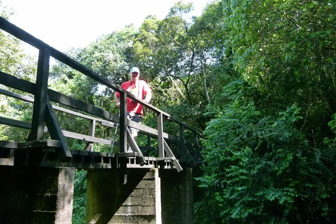 Best Kilimanjaro hiking day trip tour with Kilinge Adventures - Key highlights to know before you go