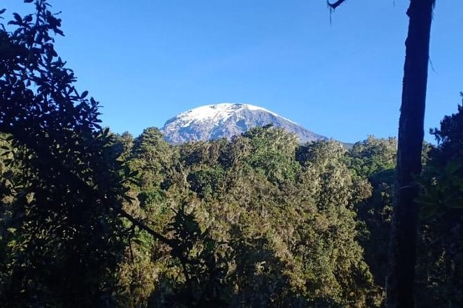 Best Kilimanjaro hiking day trip tour with Kilinge Adventures - Moshi morning to Marangu Gate: the day starts fast