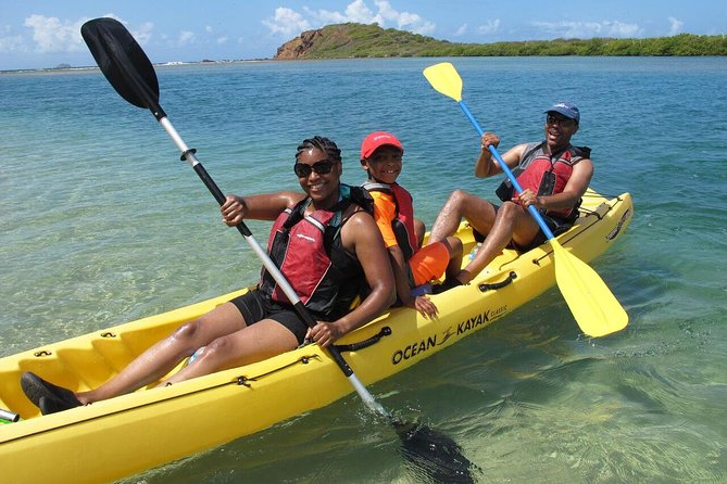 Best of Mangrove Lagoon Kayak, Hike and Snorkel Adventure with Picnic Lunch - Key Things You’ll Really Care About