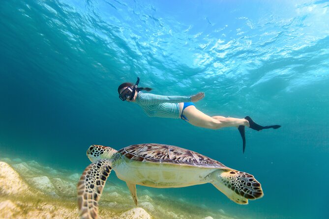 Best of Mangrove Lagoon Kayak, Hike and Snorkel Adventure with Picnic Lunch - Mangrove Lagoon: Kayak, Hike, Snorkel in One St Thomas Loop