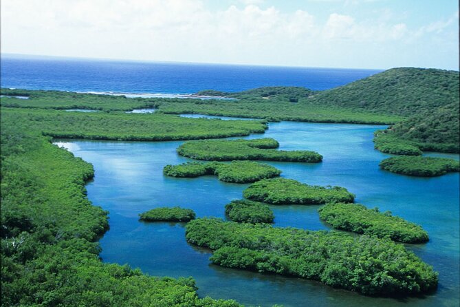Best of Mangrove Lagoon Kayak, Hike and Snorkel Adventure with Picnic Lunch - Snorkeling Reality Check: Visibility, Currents, and What You’ll Actually Get