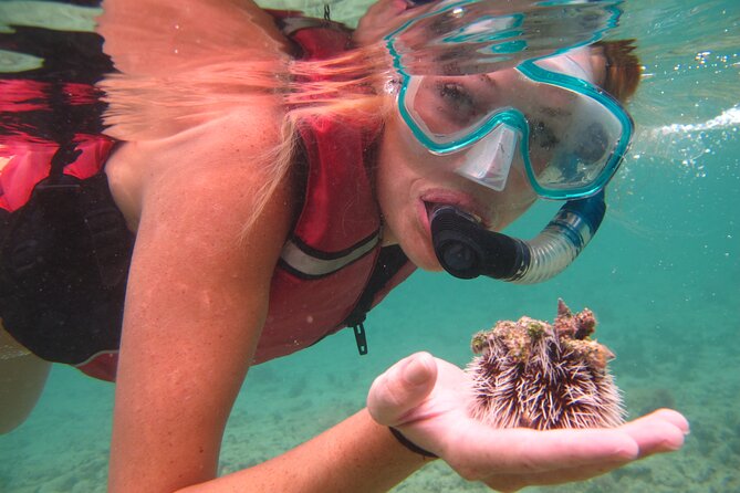Best of Mangrove Lagoon Kayak, Hike and Snorkel Adventure with Picnic Lunch - Price and Value: What $159 Buys You in Real Terms