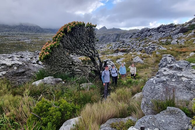 BEST of Table Mountain! Exhilarating Full-day Guided Hike - Key Highlights You’ll Actually Feel