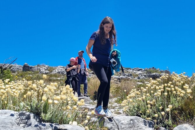 BEST of Table Mountain! Exhilarating Full-day Guided Hike - Diving Board Photo Stop: The Classic Angle With a Guide’s Timing