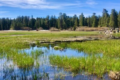 Big Bear Jeep off-road tour with Hike to Bluff Lake Reserve - Stop One: Bluff Lake Reserve for a Calm 30 Minutes