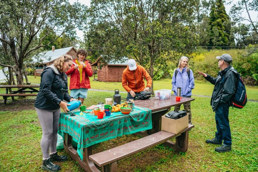 Big Island: Hawai'i Volcanoes National Park Guided Hike - Price and park entry: what $230 really covers