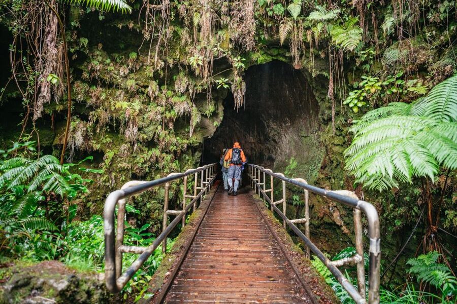 Big Island: Hawai'i Volcanoes National Park Guided Hike - Start at Kīlauea Visitor Center and get your bearings fast