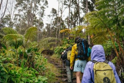 Big Island: Hawai'i Volcanoes National Park Guided Hike - Breakfast buffet and warm-up hike through native forest