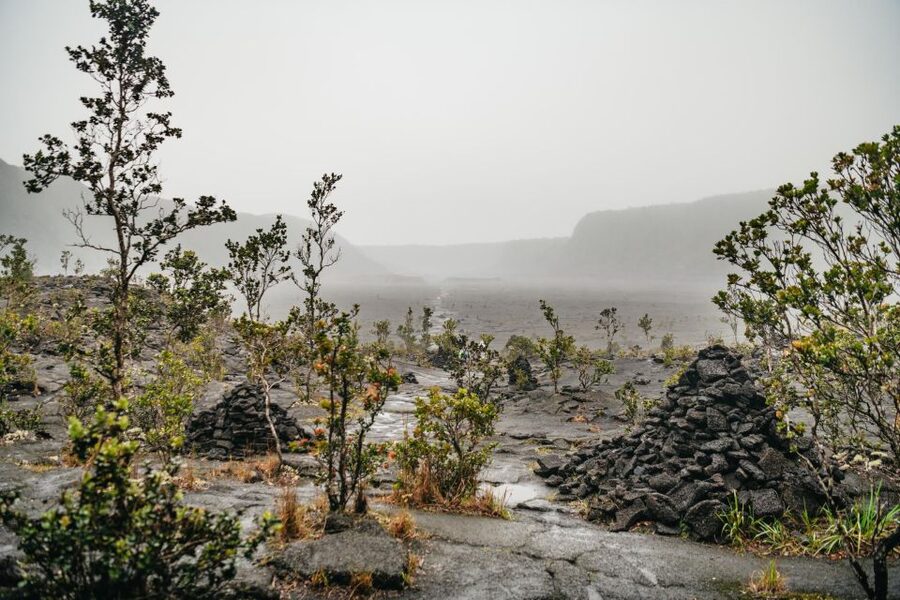 Big Island: Hawai'i Volcanoes National Park Guided Hike - Steam vents and caldera walls: heat, geology, and your senses