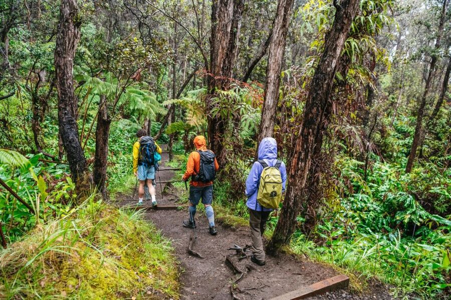 Big Island: Hawai'i Volcanoes National Park Guided Hike - Guide impact: Jennifer’s storytelling and group energy