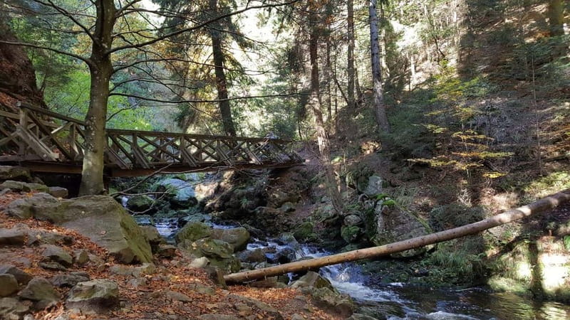 Black Forest: Ravenna Gorge Hike, Self-Guided - Key reasons this Ravenna Gorge hike works so well
