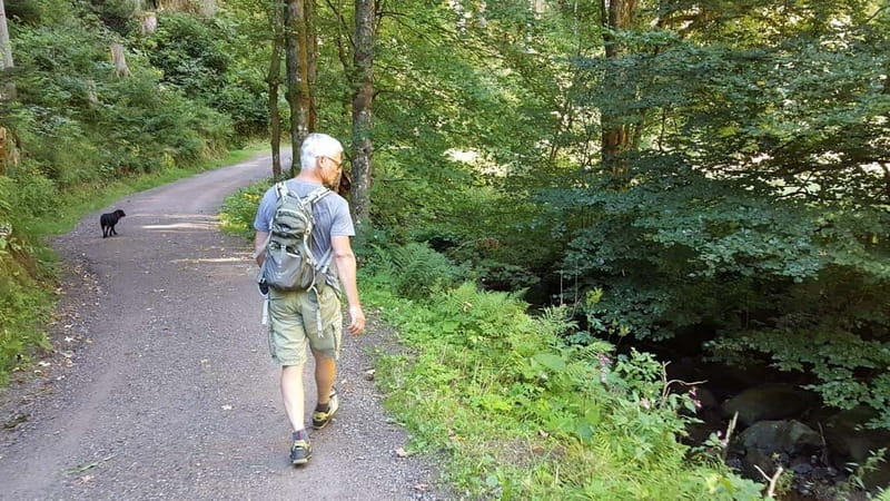 Black Forest: Ravenna Gorge Hike, Self-Guided - Why Ravenna Gorge feels like the Black Forest, not a postcard
