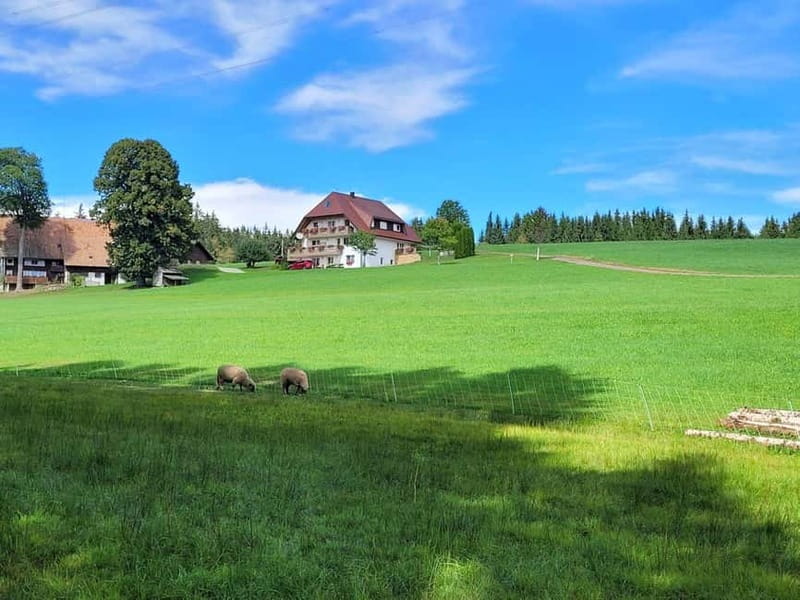 Black Forest: Ravenna Gorge Hike, Self-Guided - Starting on the right foot: what the app actually does for you