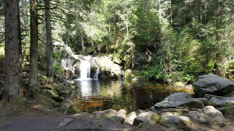 Black Forest: Ravenna Gorge Hike, Self-Guided - The 8 km Ravenna Gorge hike: waterfalls, streams, and a real valley walk