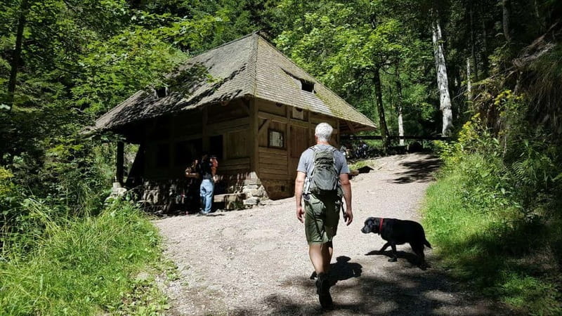 Black Forest: Ravenna Gorge Hike, Self-Guided - Oldest chapel in the Black Forest: the stop that gives the walk meaning