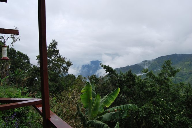 Blue Mountains Peak Hike - Price and Value: What $260 Buys You in the Blue Mountains