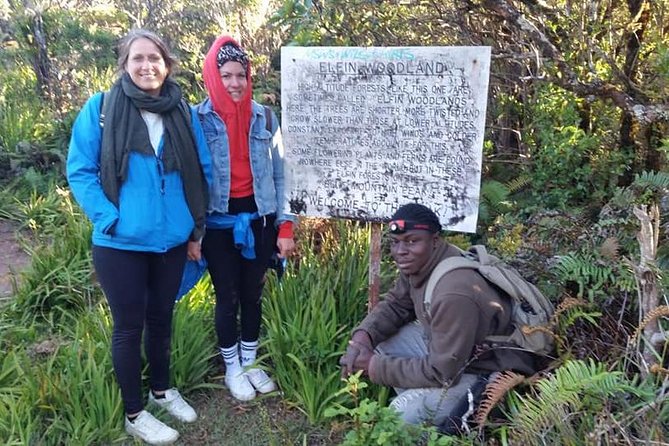 Blue Mountains Peak Hike - Your Ranger Guide: Stories, Safety, and Mountain Detail